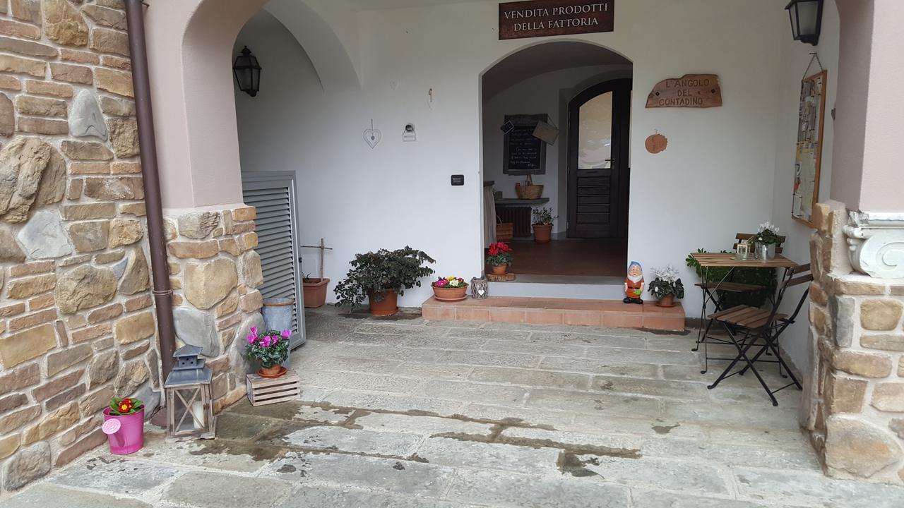 B&B Podere Montese 빌라프랑카 인 루니지아나 외부 사진