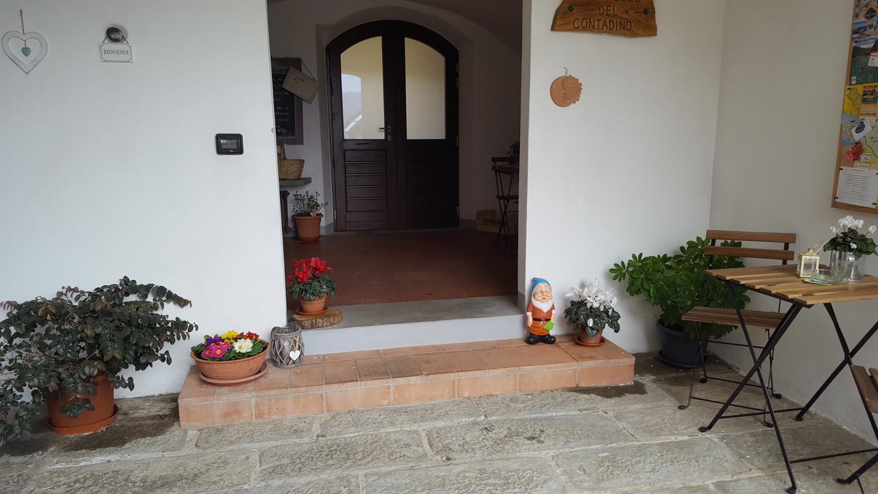 B&B Podere Montese 빌라프랑카 인 루니지아나 외부 사진