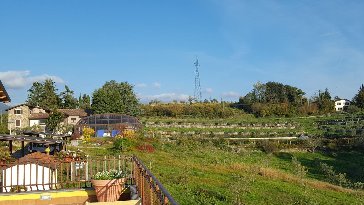 B&B Podere Montese 빌라프랑카 인 루니지아나 외부 사진