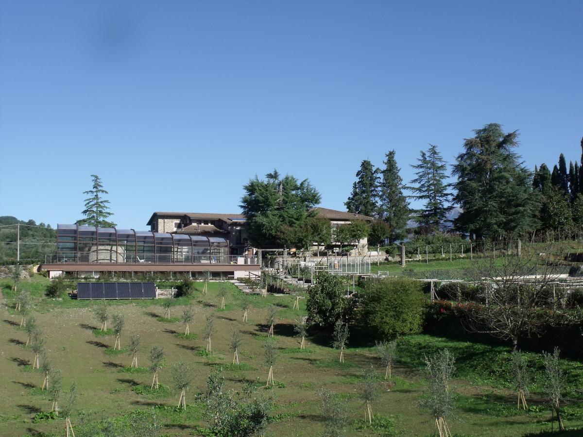 B&B Podere Montese 빌라프랑카 인 루니지아나 외부 사진