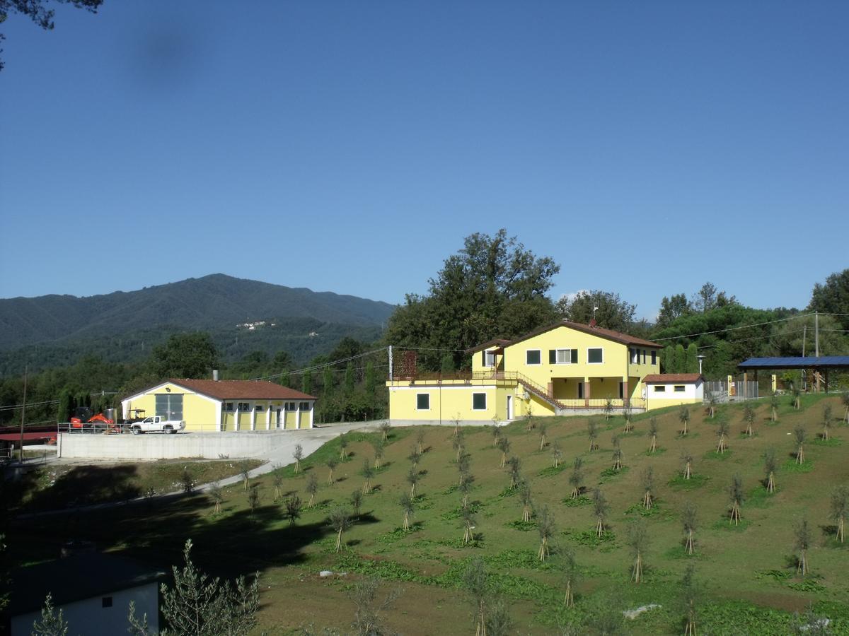 B&B Podere Montese 빌라프랑카 인 루니지아나 외부 사진